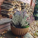 Nyaraló Nad Stawem Nowy Wiec