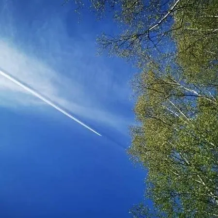 Nad Stawem Nowy Wiec