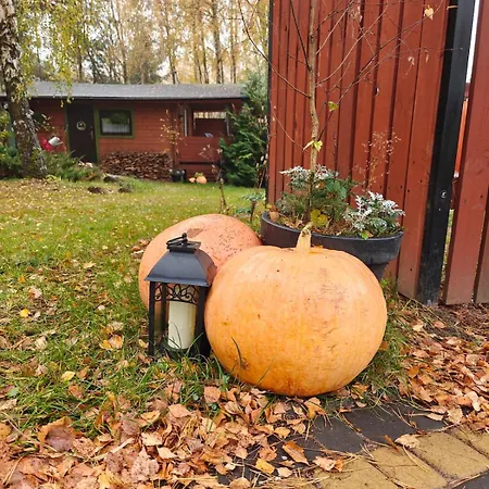 Nad Stawem Holiday home