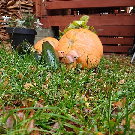 Nad Stawem Nowy Wiec