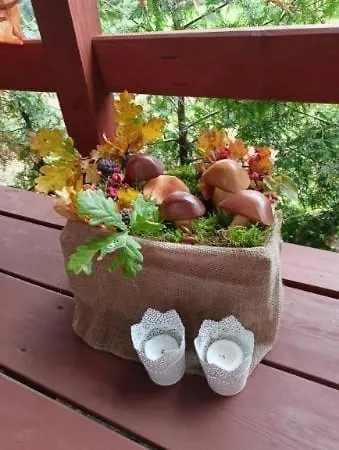 Holiday home Nad Stawem *