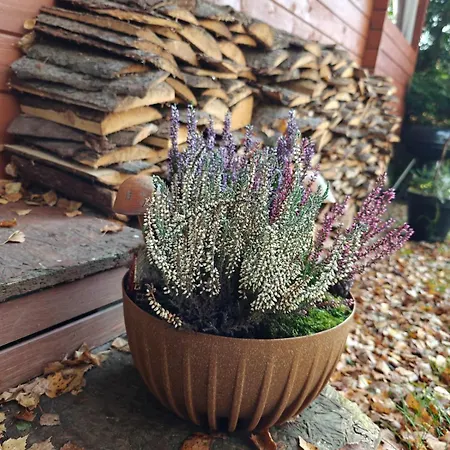 Holiday home Nad Stawem Nowy Wiec