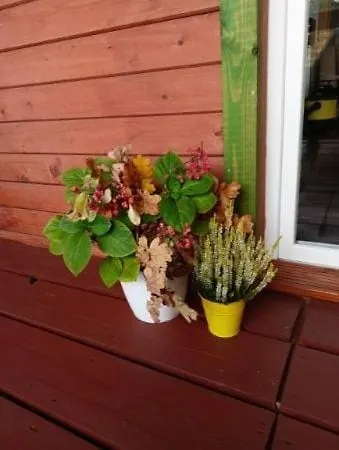 Nad Stawem Holiday home Nowy Wiec