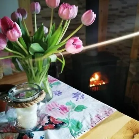Nad Stawem Ferienhaus Nowy Wiec