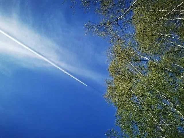 Nad Stawem Nowy Wiec