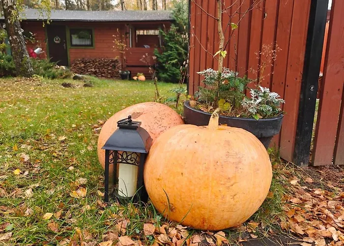 Nad Stawem Semesterbostad