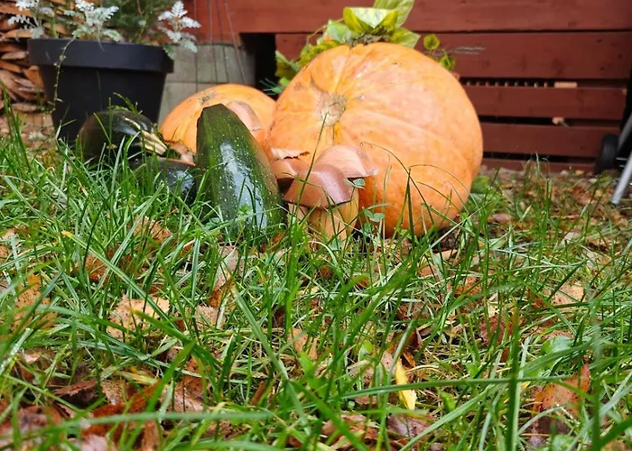 Nad Stawem Nowy Wiec