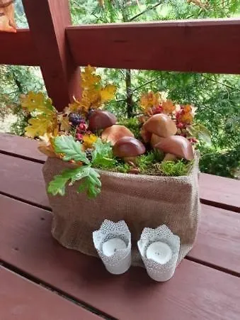 Semesterbostad Nad Stawem *