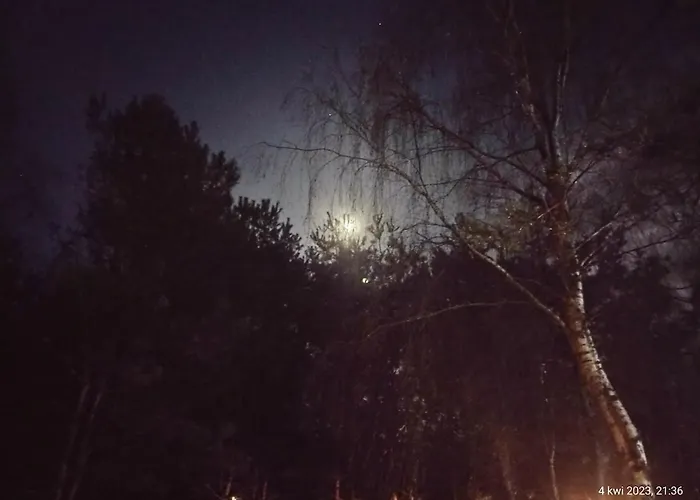 Nad Stawem Nowy Wiec