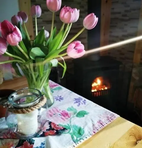 Nad Stawem Prázdninový dům Nowy Wiec